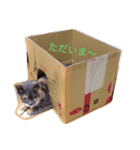 ナズさんとにゃんた（個別スタンプ：4）
