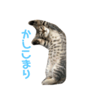 表情豊かすあまちゃん  時々よもぎ（個別スタンプ：7）