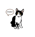 メー サスケ（個別スタンプ：2）
