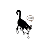 メー サスケ（個別スタンプ：3）