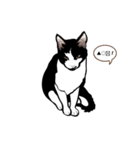 メー サスケ（個別スタンプ：7）