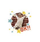 田中一颯2（個別スタンプ：3）