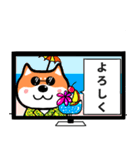 マイペースな柴犬2（個別スタンプ：3）