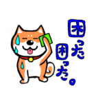 マイペースな柴犬2（個別スタンプ：6）