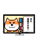 マイペースな柴犬2（個別スタンプ：25）