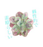 多肉言（個別スタンプ：7）