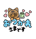 ずーっと猫（個別スタンプ：3）