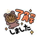 ずーっと猫（個別スタンプ：4）