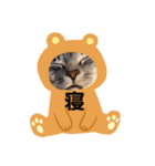 ずーっと猫（個別スタンプ：6）