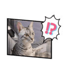 ずーっと猫（個別スタンプ：7）