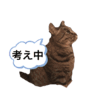 大好きベッキーさん（個別スタンプ：4）