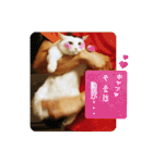ゆるねこパンチ（個別スタンプ：34）