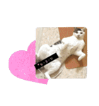 ゆるねこパンチ（個別スタンプ：36）