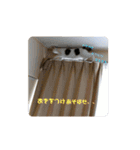 ゆるねこパンチ（個別スタンプ：40）