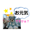 たけしのスタンプ  その23（個別スタンプ：1）
