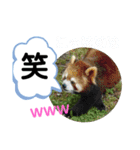 たけしのスタンプ  その23（個別スタンプ：3）