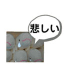 たけしのスタンプ  その23（個別スタンプ：6）