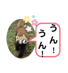 たけしのスタンプ  その23（個別スタンプ：12）