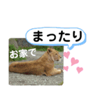 たけしのスタンプ  その23（個別スタンプ：14）