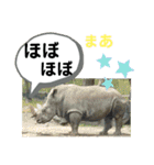 たけしのスタンプ  その23（個別スタンプ：15）