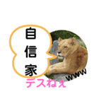 たけしのスタンプ  その23（個別スタンプ：16）
