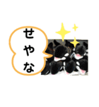 たけしのスタンプ  その23（個別スタンプ：17）