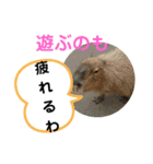 たけしのスタンプ  その23（個別スタンプ：18）