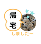 たけしのスタンプ  その23（個別スタンプ：19）