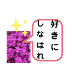 たけしのスタンプ  その23（個別スタンプ：20）