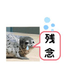 たけしのスタンプ  その23（個別スタンプ：22）
