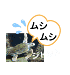たけしのスタンプ  その23（個別スタンプ：23）