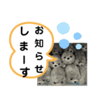 たけしのスタンプ  その23（個別スタンプ：24）