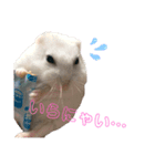 ちびまろちろ集（個別スタンプ：1）