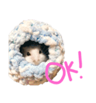 ちびまろちろ集（個別スタンプ：5）