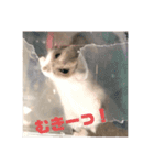 ちびまろちろ集（個別スタンプ：10）