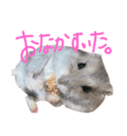 ちびまろちろ集（個別スタンプ：11）