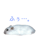 ちびまろちろ集（個別スタンプ：16）