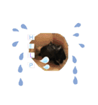 ひじき＆につけスタンプ（個別スタンプ：14）