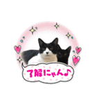 ひじき＆につけスタンプ（個別スタンプ：29）