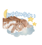 コムティティの毎日会話1（個別スタンプ：2）