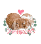 コムティティの毎日会話1（個別スタンプ：3）