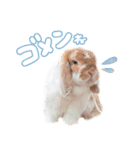 コムティティの毎日会話1（個別スタンプ：5）