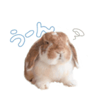 コムティティの毎日会話1（個別スタンプ：6）