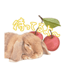 コムティティの毎日会話1（個別スタンプ：9）