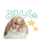 コムティティの毎日会話1（個別スタンプ：14）