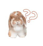 コムティティの毎日会話1（個別スタンプ：16）
