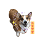 suzuの日々（個別スタンプ：1）