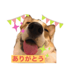 suzuの日々（個別スタンプ：2）