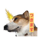 suzuの日々（個別スタンプ：3）