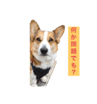 suzuの日々（個別スタンプ：4）